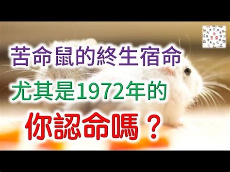 1972鼠|【1972 生肖】「1972年生肖屬鼠：未來命運與運勢大解析」